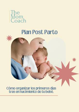 Guía Plan de Post Parto